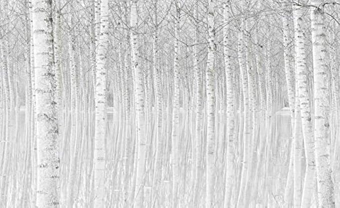 Black and White Trees Wallpaper