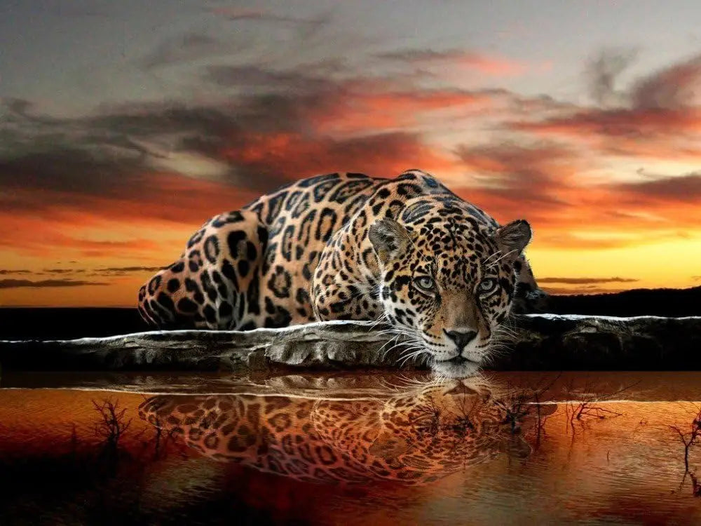 Leopard wallpaper