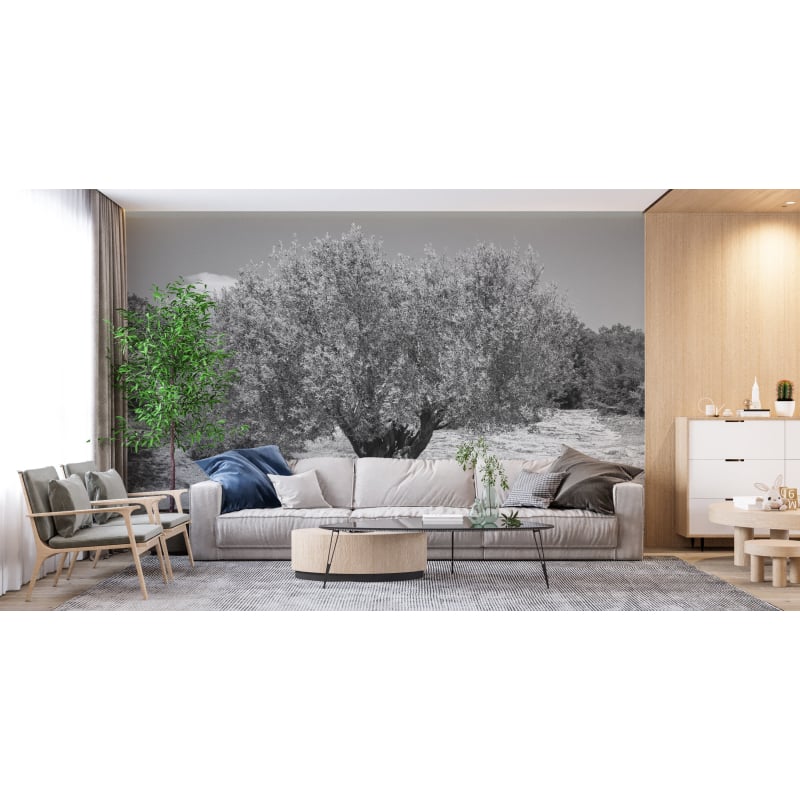 Panoramic Olive Trees Wallpaper Black And White - Second Image